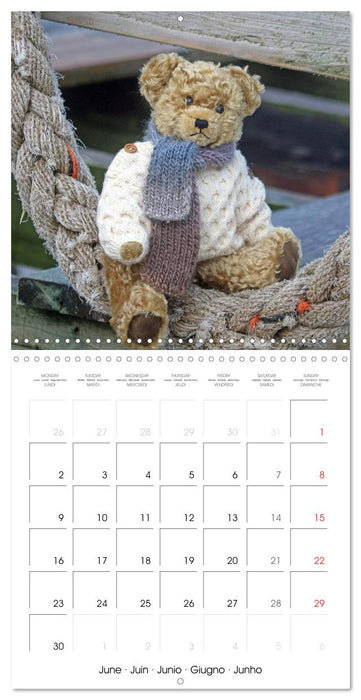 Teddy Bear on the way (CALVENDO Monthly Calendar 2025)