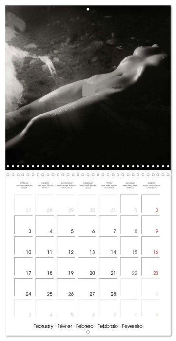 Magical Mystery Nudes (CALVENDO Monthly Calendar 2025)