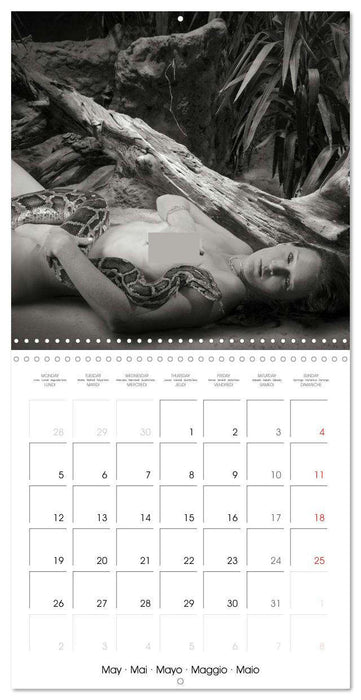 Magical Mystery Nudes (CALVENDO Monthly Calendar 2025)