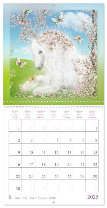 Dreamy Unicorns (CALVENDO Monthly Calendar 2025)