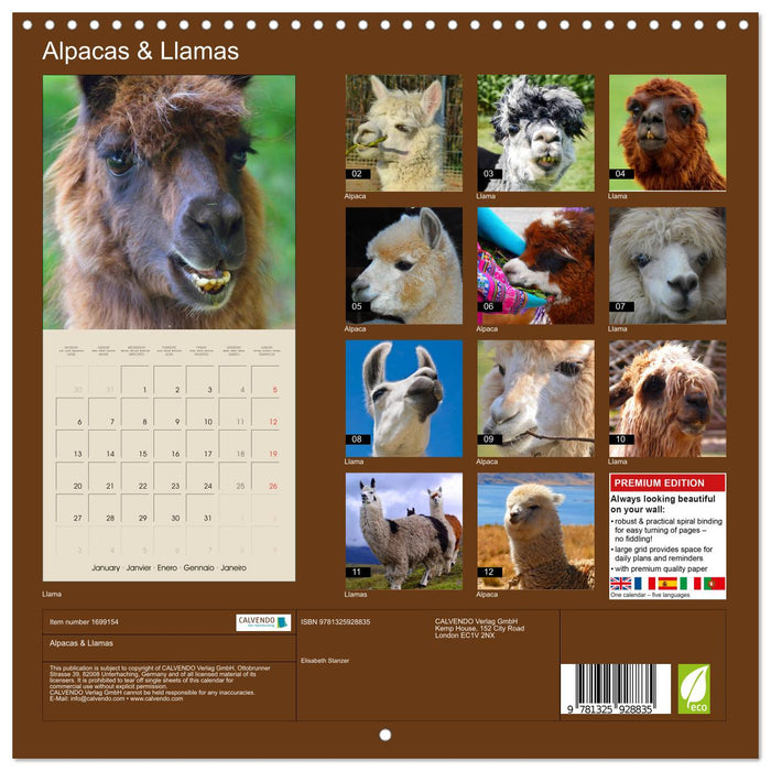 Alpacas & Llamas (CALVENDO Monthly Calendar 2025)