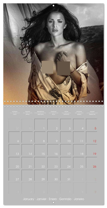 Erotica • Sensual and fascinating Moments (CALVENDO Monthly Calendar 2025)