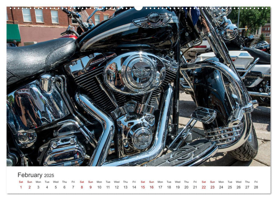 Sturgis - The most famous motorcycle rally in the world (CALVENDO Monthly Calendar 2025)