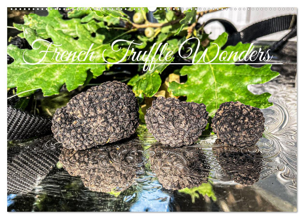 French Truffle Wonders (CALVENDO Monthly Calendar 2025)