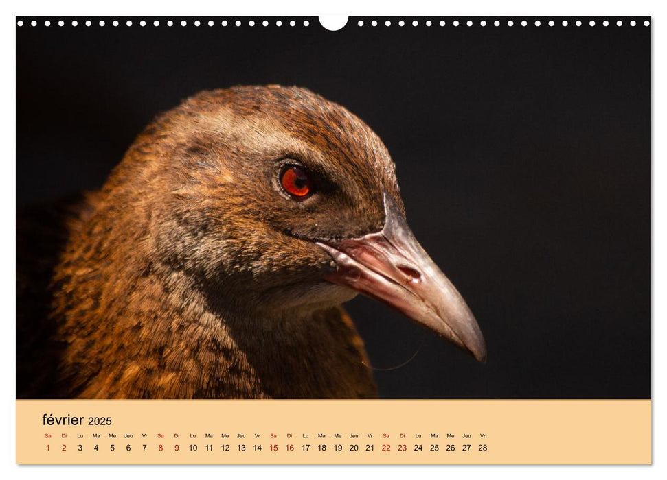 Oiseaux de Nouvelle-Zélande (CALVENDO Calendrier mensuel 2025)