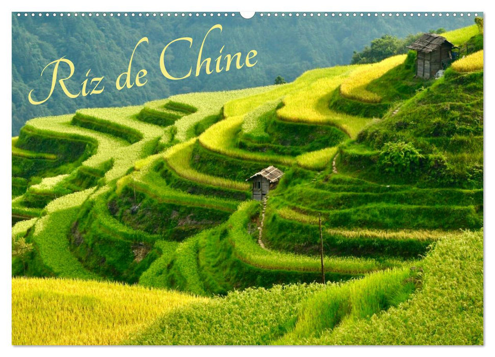 Riz de Chine (CALVENDO Calendrier mensuel 2025)