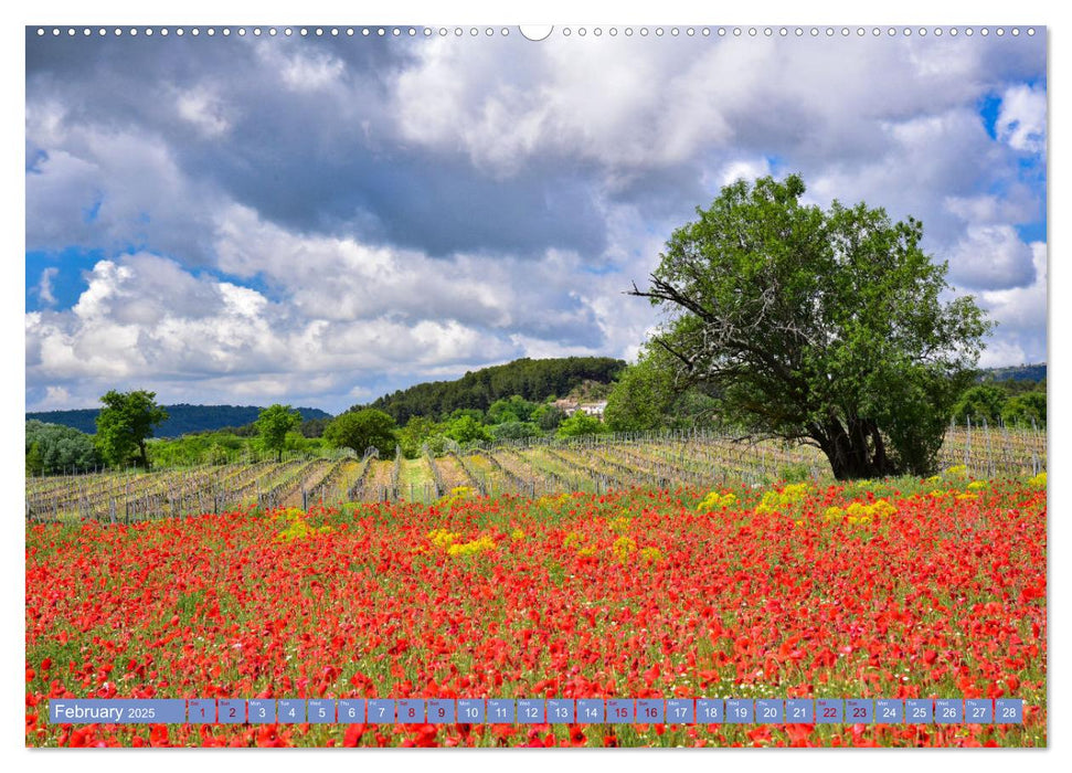 Discover the Beauty of Provence (CALVENDO Monthly Calendar 2025)