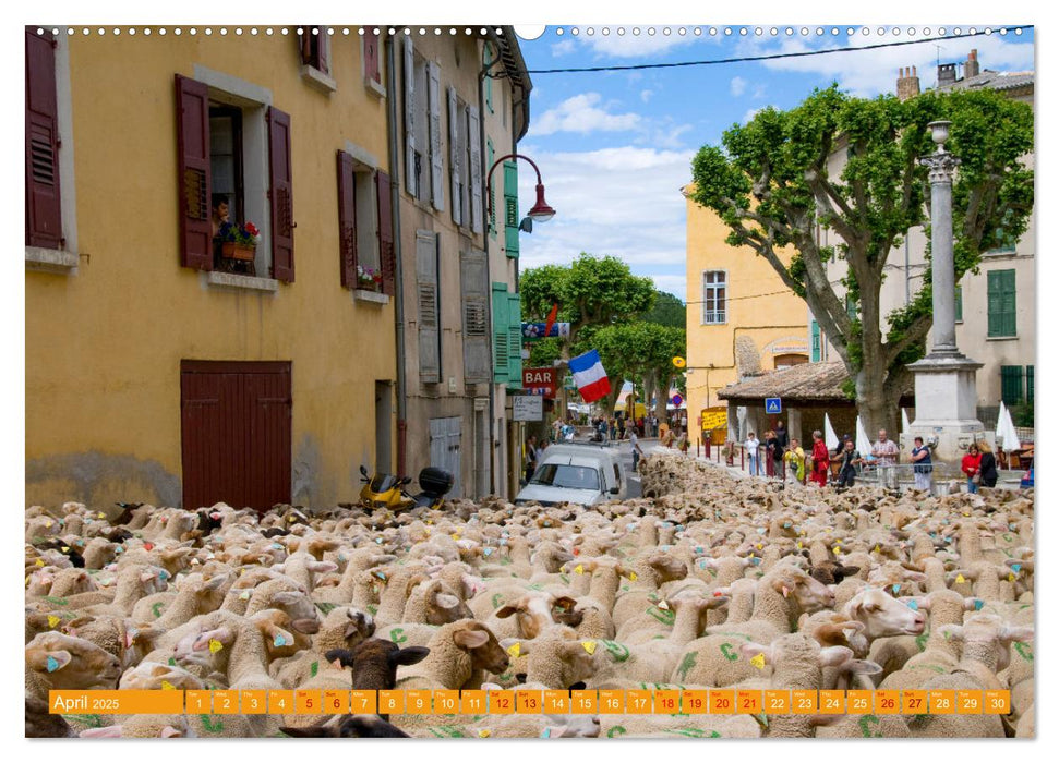 Discover the Beauty of Provence (CALVENDO Monthly Calendar 2025)