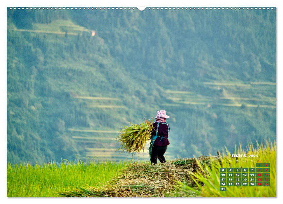 Riz de Chine (CALVENDO Calendrier supérieur 2025)