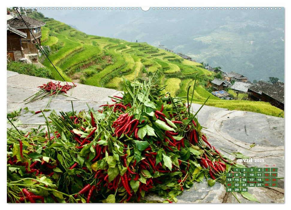 Riz de Chine (CALVENDO Calendrier supérieur 2025)