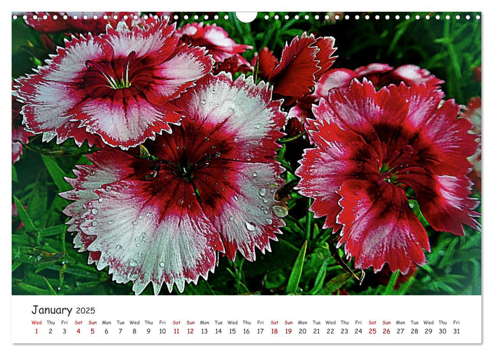 Vivacious Florals (CALVENDO Monthly Calendar 2025)