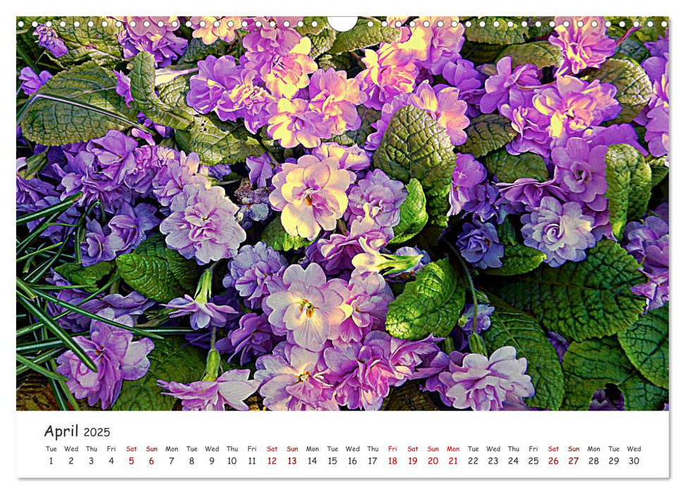 Vivacious Florals (CALVENDO Monthly Calendar 2025)