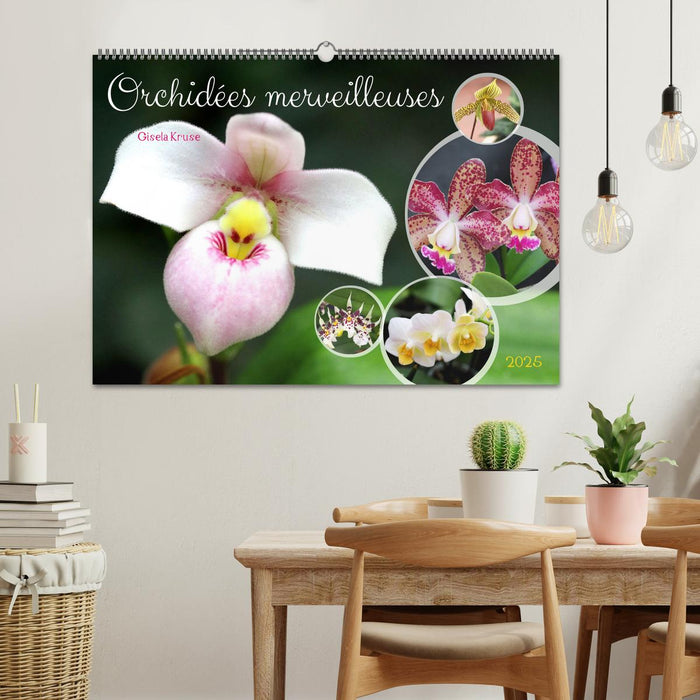 Orchidées merveilleuses (CALVENDO Calendrier mensuel 2025)