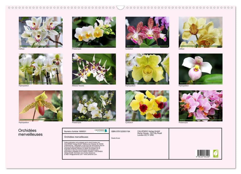 Orchidées merveilleuses (CALVENDO Calendrier mensuel 2025)