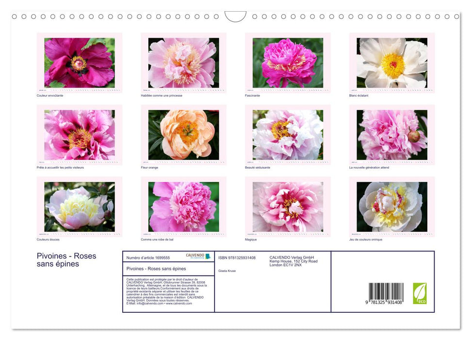 Pivoines - Roses sans épines (CALVENDO Calendrier mensuel 2025)