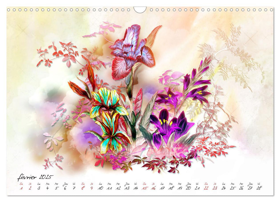 Prairies sauvages en fleurs (CALVENDO Calendrier mensuel 2025)