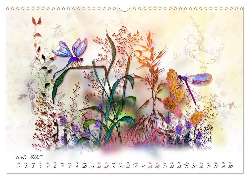 Prairies sauvages en fleurs (CALVENDO Calendrier mensuel 2025)