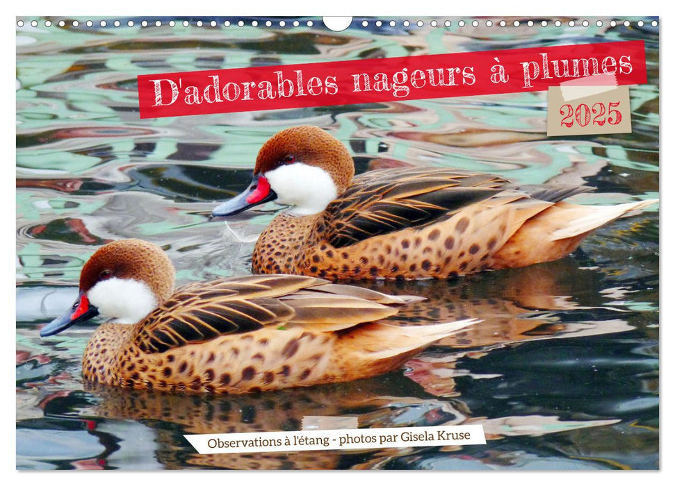 D'adorables nageurs à plumes (CALVENDO Calendrier mensuel 2025)