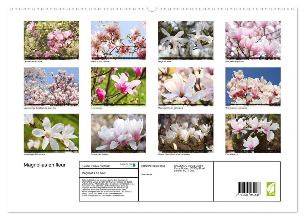 Magnolias en fleur (CALVENDO Calendrier supérieur 2025)