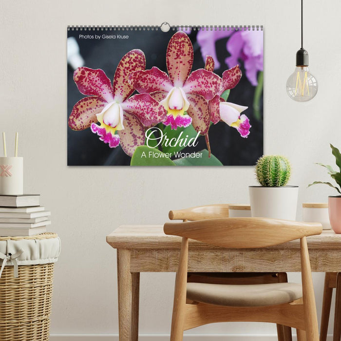 Orchid - A Flower Wonder (CALVENDO Monthly Calendar 2025)