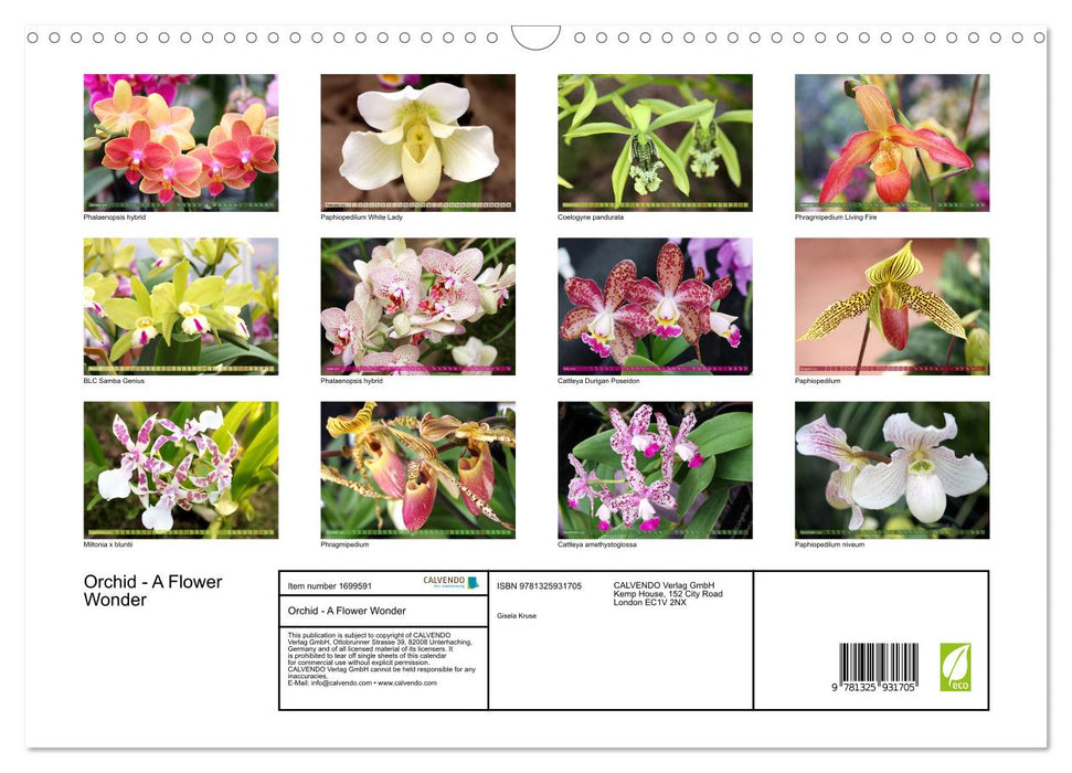 Orchid - A Flower Wonder (CALVENDO Monthly Calendar 2025)