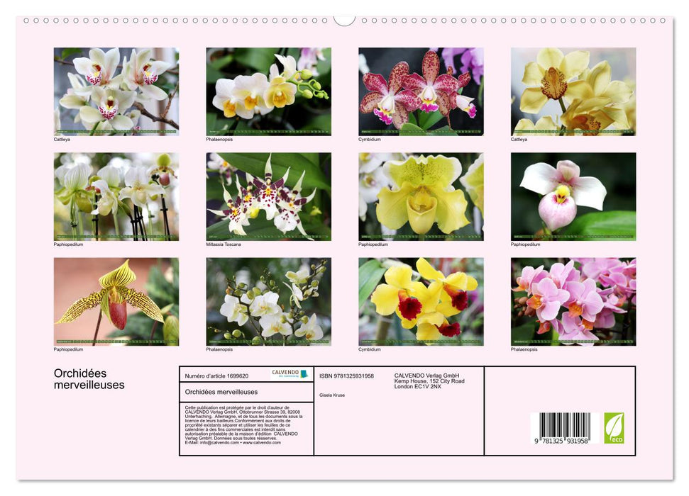 Orchidées merveilleuses (CALVENDO Calendrier supérieur 2025)