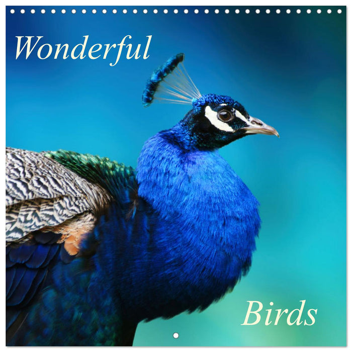 Wonderful Birds (CALVENDO Monthly Calendar 2025)