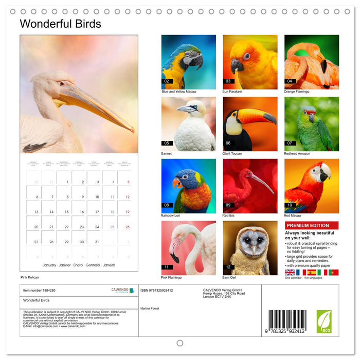 Wonderful Birds (CALVENDO Monthly Calendar 2025)