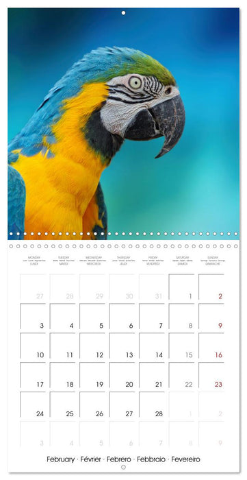 Wonderful Birds (CALVENDO Monthly Calendar 2025)