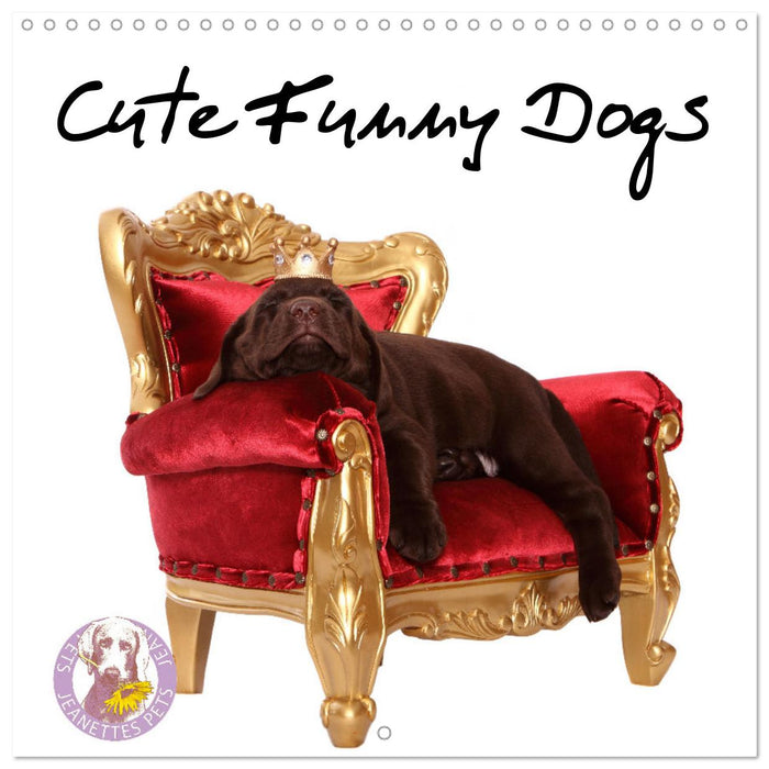 Cute Funny Dogs (CALVENDO Monthly Calendar 2025)