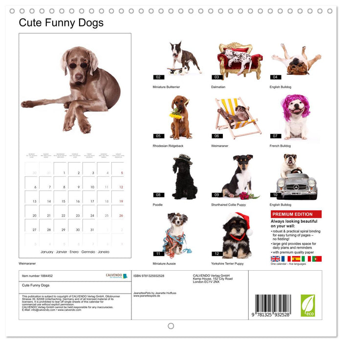 Cute Funny Dogs (CALVENDO Monthly Calendar 2025)