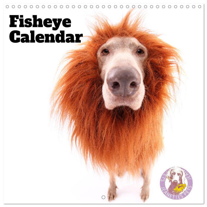 Fisheye Calendar (CALVENDO Monthly Calendar 2025)