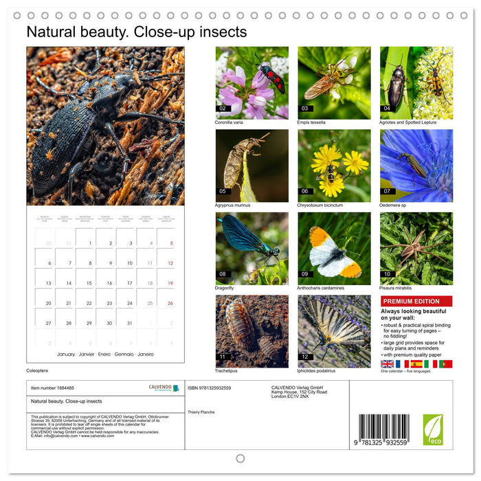 Natural beauty. Close-up insects (CALVENDO Monthly Calendar 2025)