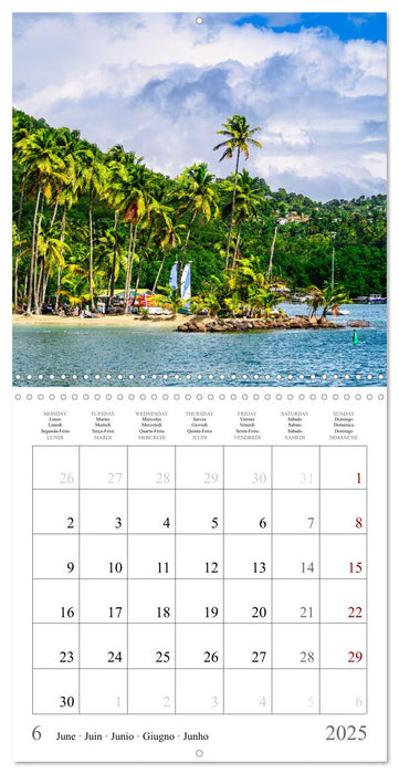 Dream destinations in the Caribbean (CALVENDO Monthly Calendar 2025)