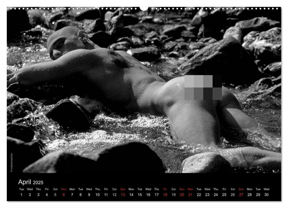 Dreaming Hunks 2025 (CALVENDO Monthly Calendar 2025)