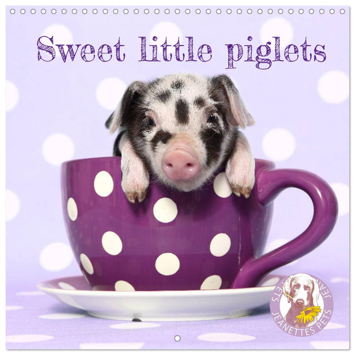 Sweet little piglets (CALVENDO Monthly Calendar 2025)