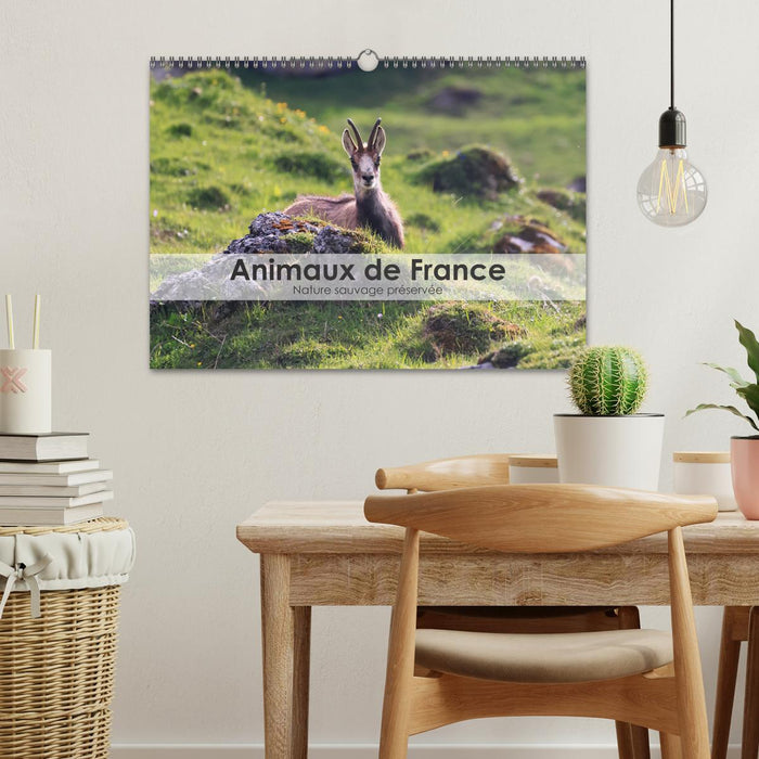 Animaux de France - Nature sauvage préservée (CALVENDO Calendrier mensuel 2025)