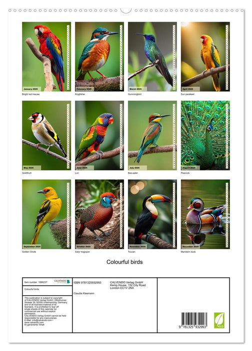 Colourful birds (CALVENDO Premium-Calendar 2025)