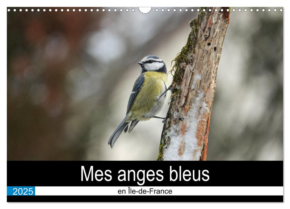 Mes anges bleus en Île-de-France (CALVENDO Calendrier mensuel 2025)