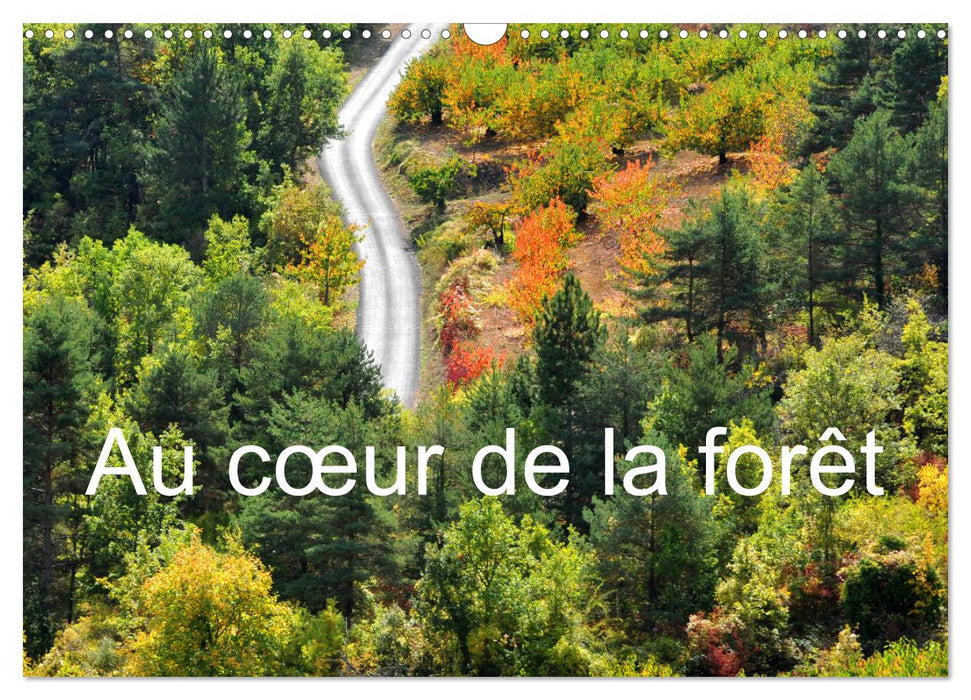 Au cœur de la forêt (CALVENDO Calendrier mensuel 2025)