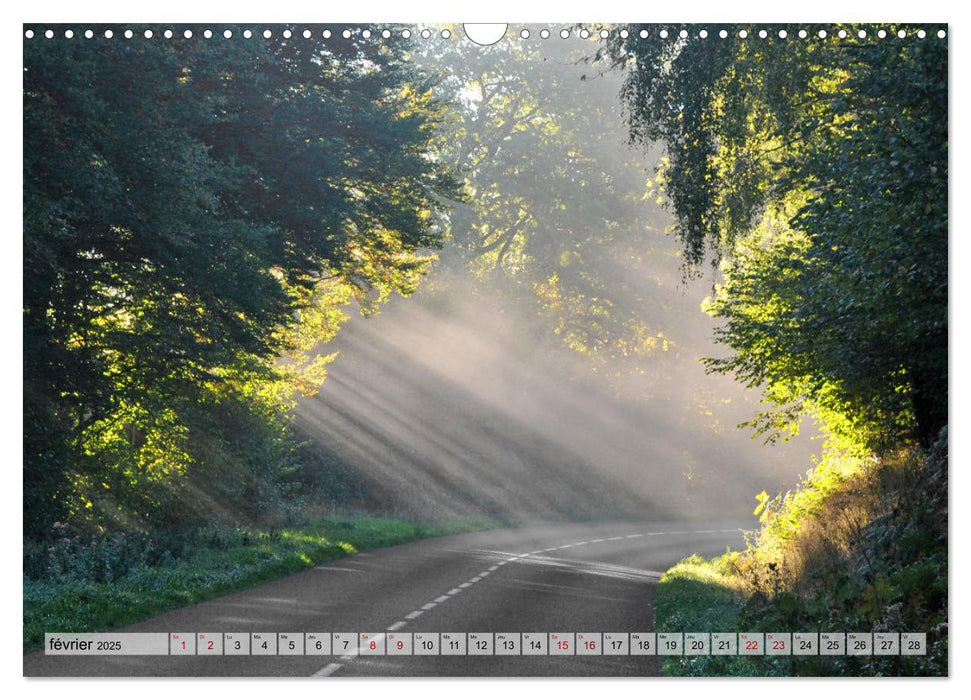 Au cœur de la forêt (CALVENDO Calendrier mensuel 2025)