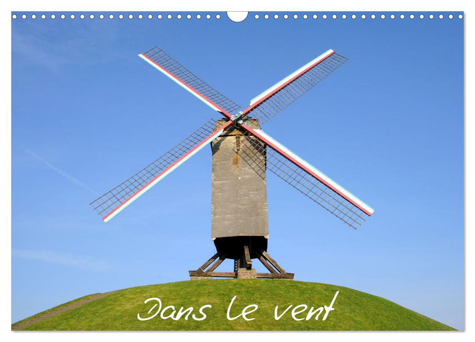 Dans le vent (CALVENDO Calendrier mensuel 2025)