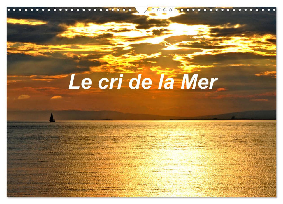 Le cri de la Mer (CALVENDO Calendrier mensuel 2025)