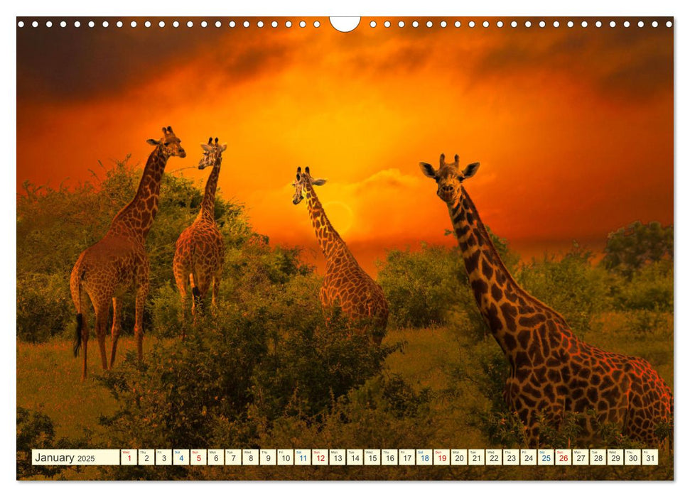 Fantastic Kenya (CALVENDO Monthly Calendar 2025)