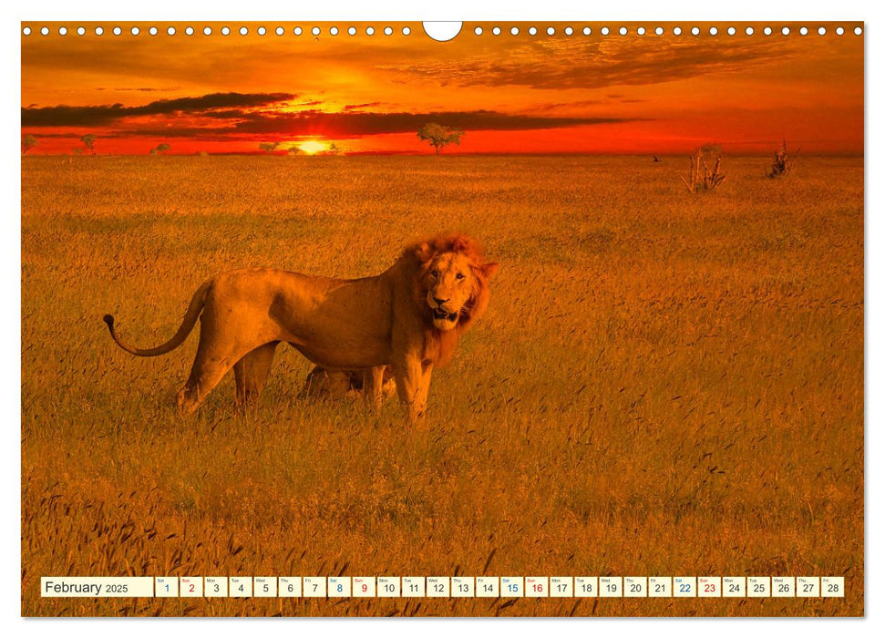 Fantastic Kenya (CALVENDO Monthly Calendar 2025)