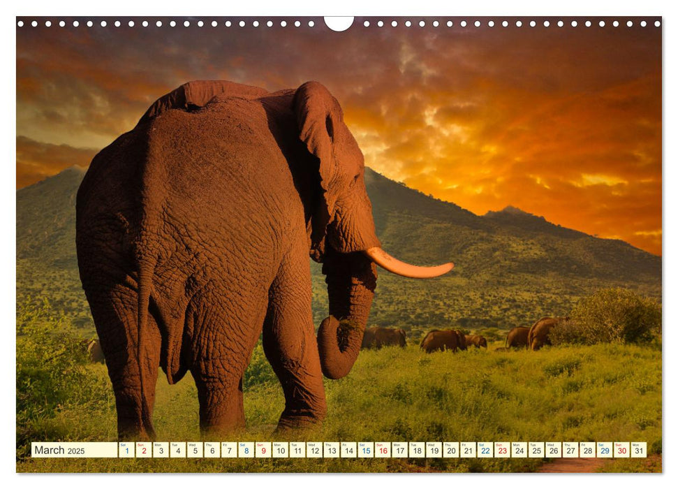 Fantastic Kenya (CALVENDO Monthly Calendar 2025)