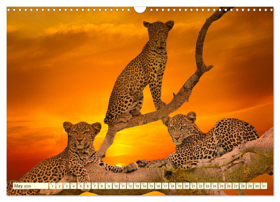 Fantastic Kenya (CALVENDO Monthly Calendar 2025)