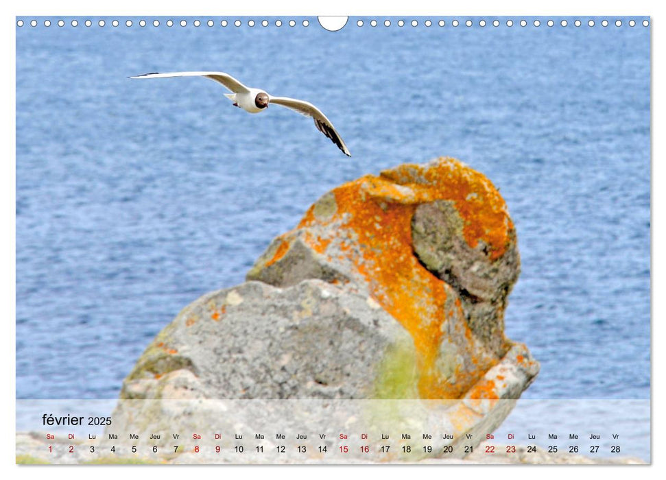 Collection Terre BRETAGNE (CALVENDO Calendrier mensuel 2025)