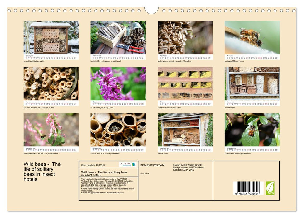 Wild bees - The life of solitary bees in insect hotels (CALVENDO Monthly Calendar 2025)