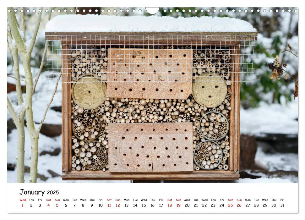 Wild bees - The life of solitary bees in insect hotels (CALVENDO Monthly Calendar 2025)